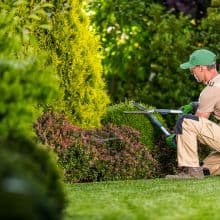 Gärtner im Garten bei der Pflege, grüner Rasen, Blumen und Buschbepflanzung, hochwertige Landschaftspflege für private Gärten und Firmen.